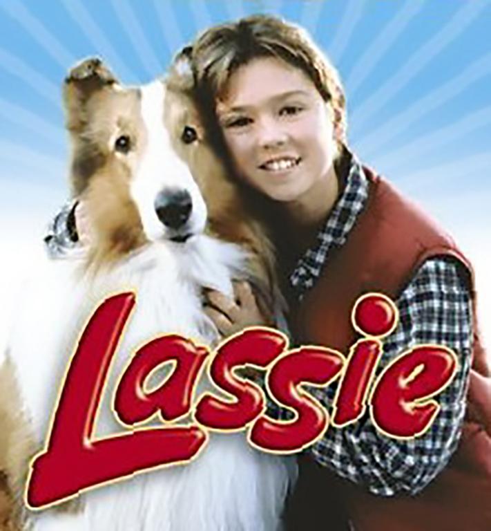 You are currently viewing Lassie – TV Series